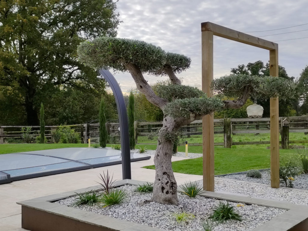 jardin-abords-de-piscine